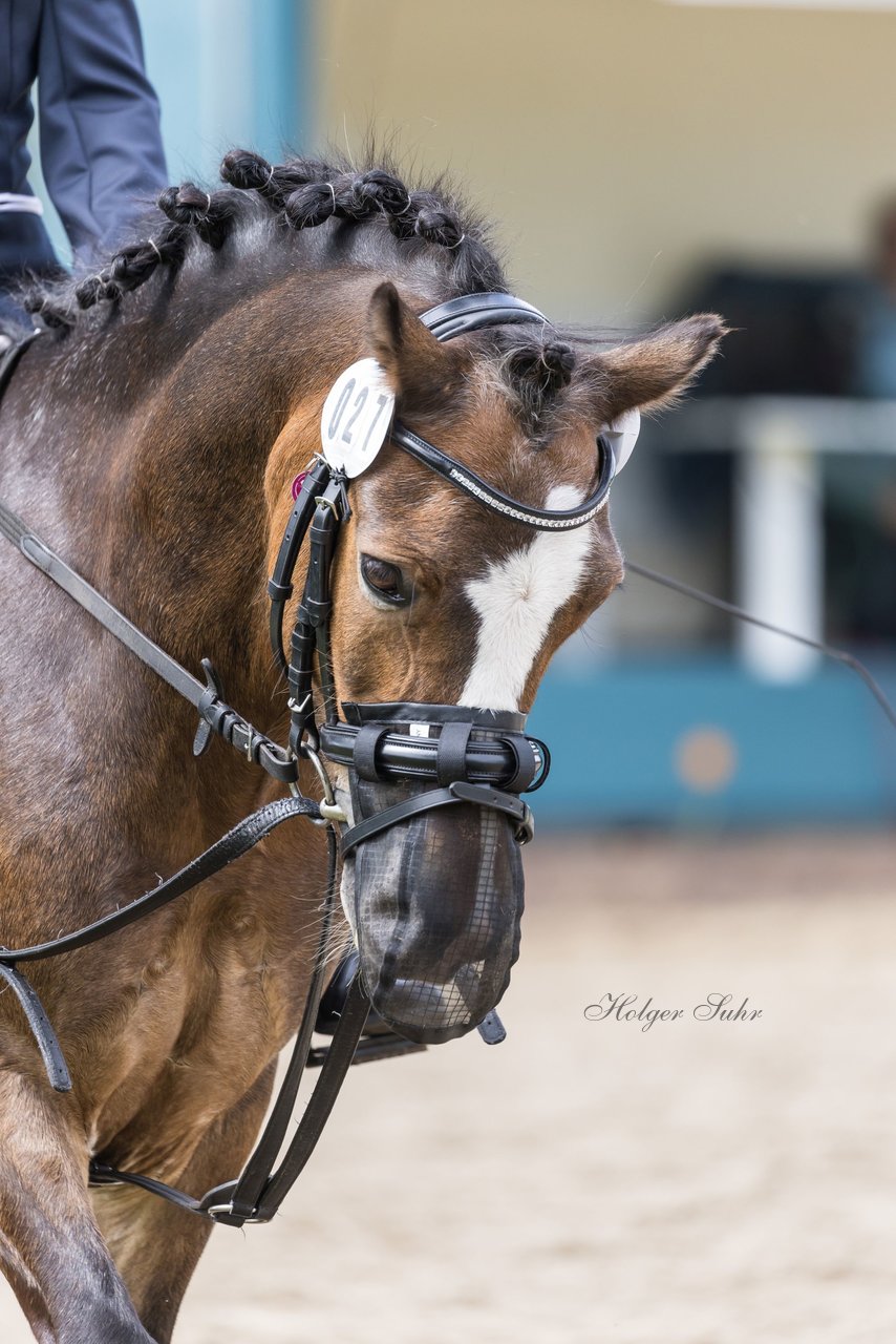 Bild 30 - Pony Akademie Turnier